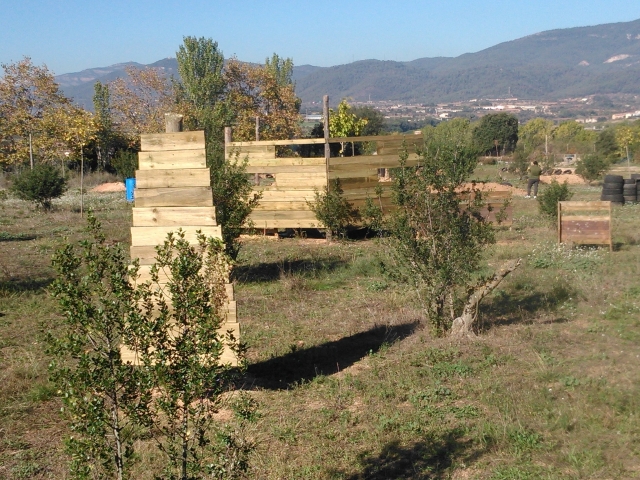  Campo con vegetazione 